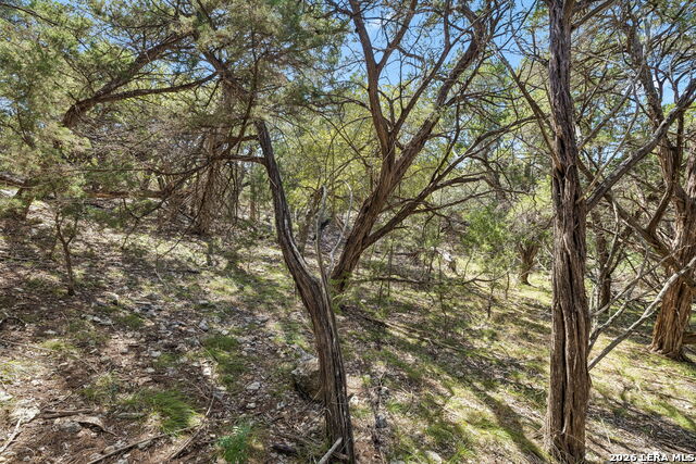 Comanche Trl Comanche Path Property Photo 13