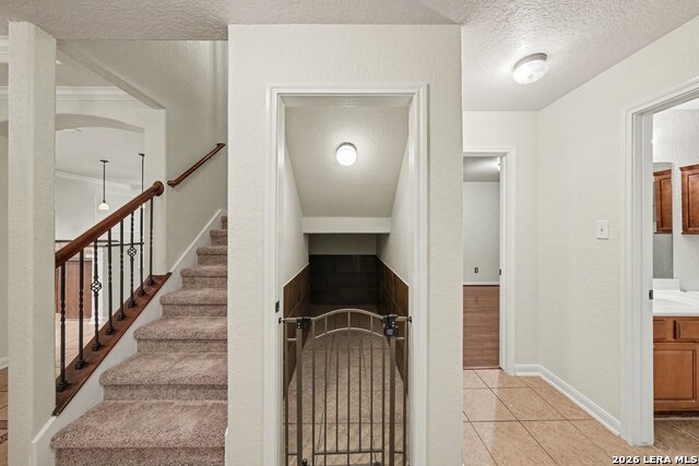 24807 Catalan Clf Property Photo 22