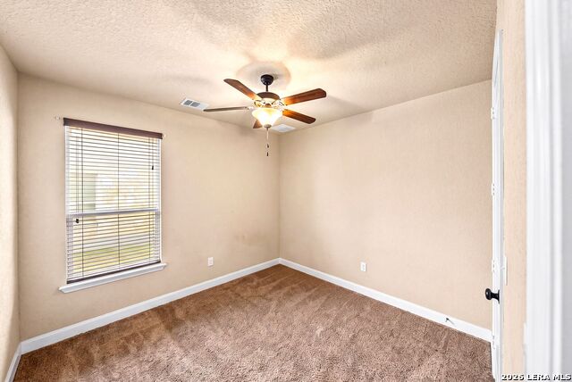 3938 Firebush Property Photo 35