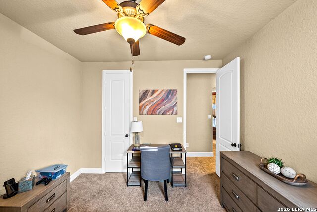 3938 Firebush Property Photo 37