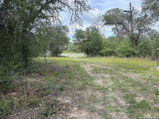 69 Powder Ridge Property Photo 5