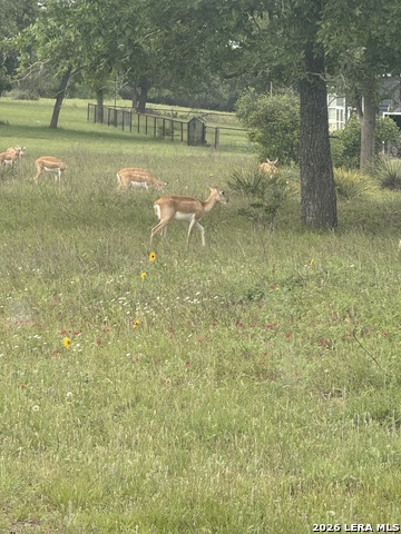 69 Powder Ridge Property Photo 10