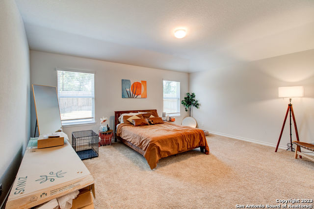 22014 Backspin Property Photo 7
