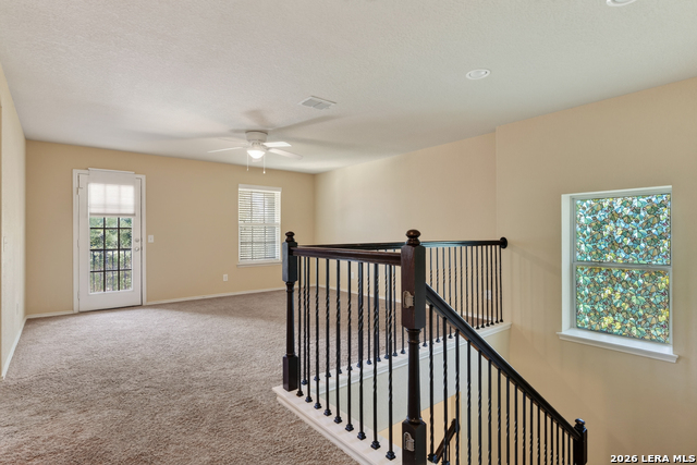 10307 Walnut Crest Property Photo 14
