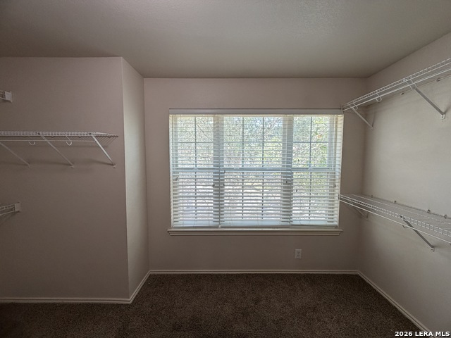 221 Turnberry Dr Property Photo 17