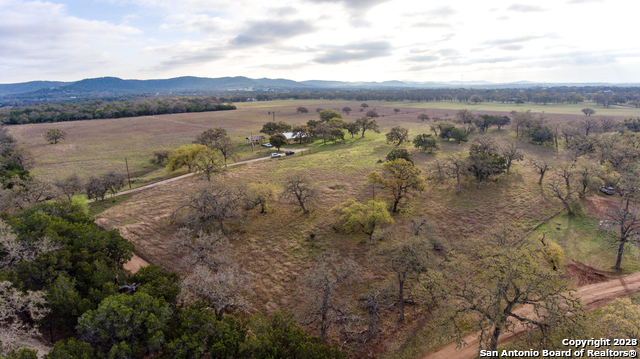 373 Pine Tree Property Photo 24