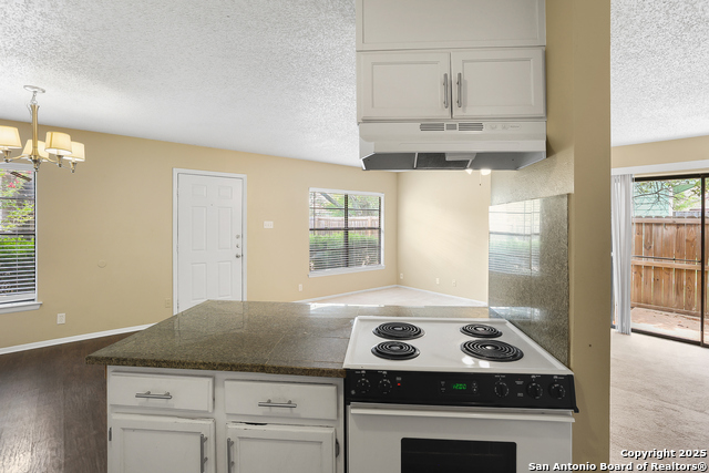 11756 Spring Club Dr Property Photo 12