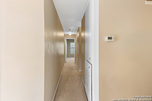 11756 Spring Club Dr Property Photo 21