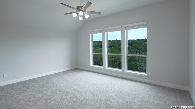 24126 Sidehill Lie Property Photo 18
