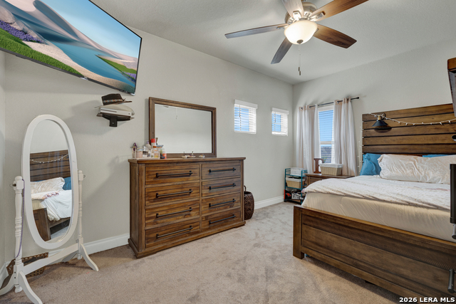 3117 Nister Property Photo 34