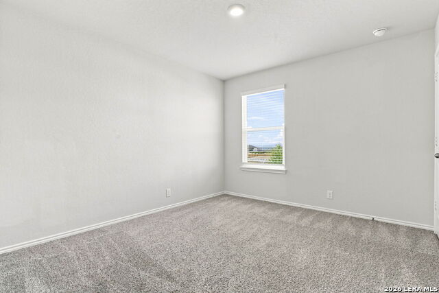 172 Little Owl Property Photo 23