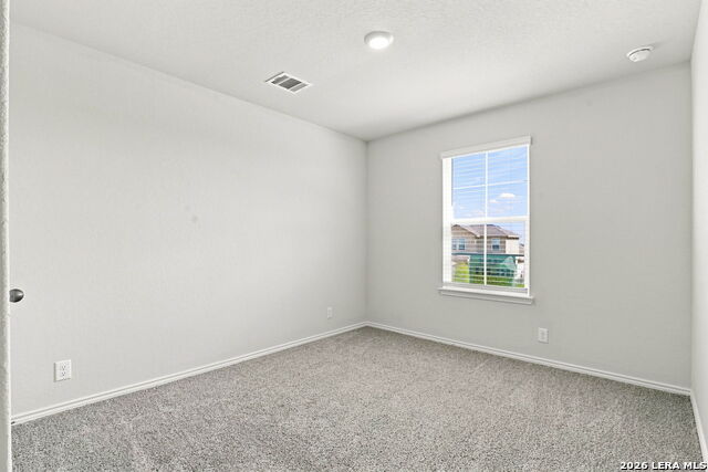 172 Little Owl Property Photo 19