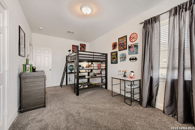 12216 Buckaroo Ranch Property Photo 22