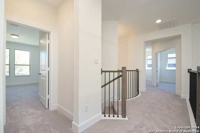10014 Ellenora Pl Property Photo 18
