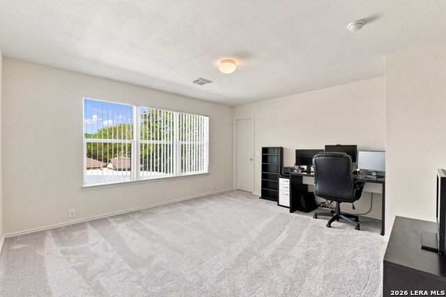 15818 Blue Sky Rd Property Photo 29