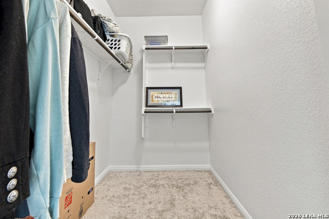 3611 Texel Ln Property Photo 28