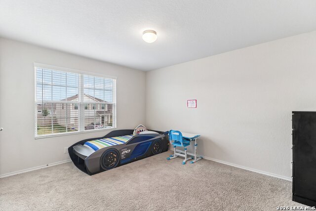 2540 Windle Ln Property Photo 12
