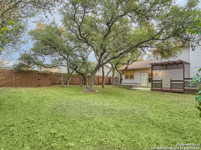 9731 Knob Oak Property Photo 5