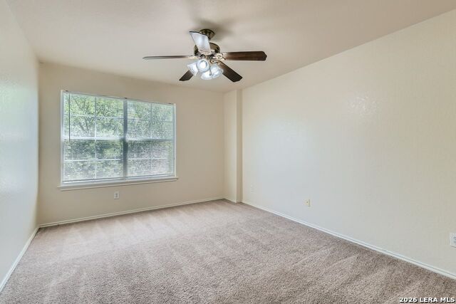 8919 Walnut Springs Property Photo 20