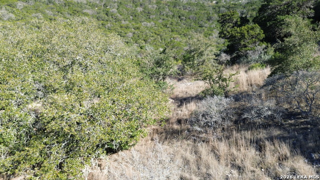 Tbd Walker Ridge Property Photo 5