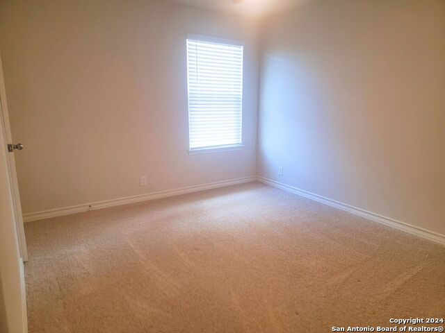 1524 Mossy Jasper Property Photo 17
