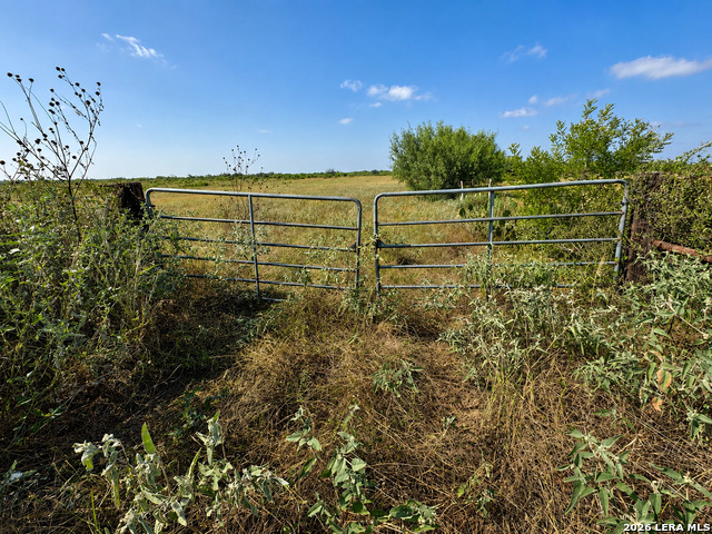 0 Fm 1333 Property Photo 3