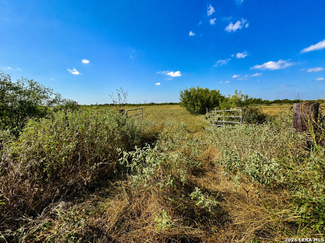 0 Fm 1333 Property Photo 4