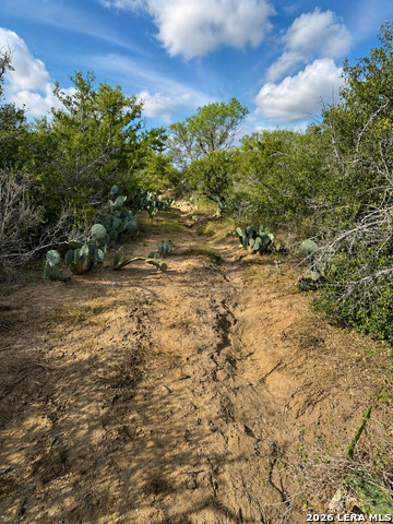0 Fm 1333 Property Photo 8