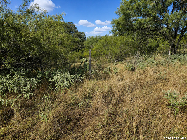 0 Fm 1333 Property Photo 12
