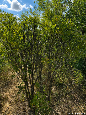 0 Fm 1333 Property Photo 16