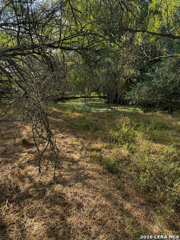 0 Fm 1333 Property Photo 17