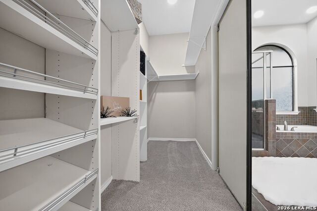 1218 Summit Crk Property Photo 29