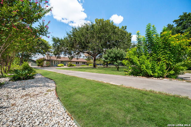 1033 E Live Oak Property Photo 3