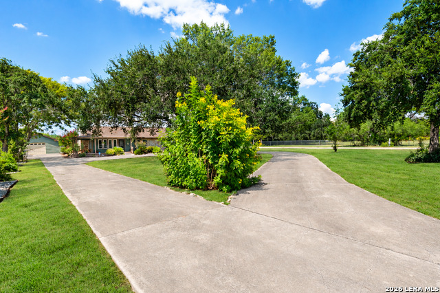 1033 E Live Oak Property Photo 4