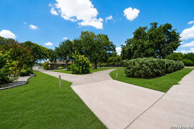 1033 E Live Oak Property Photo 5