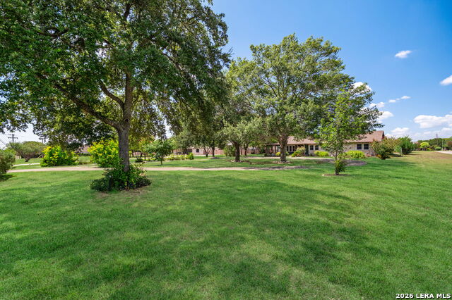 1033 E Live Oak Property Photo 7