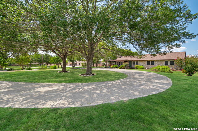 1033 E Live Oak Property Photo 8