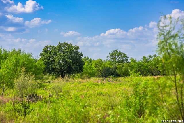 4163 E State Highway 29 Property Photo 7
