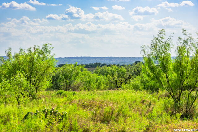 4163 E State Highway 29 Property Photo 20