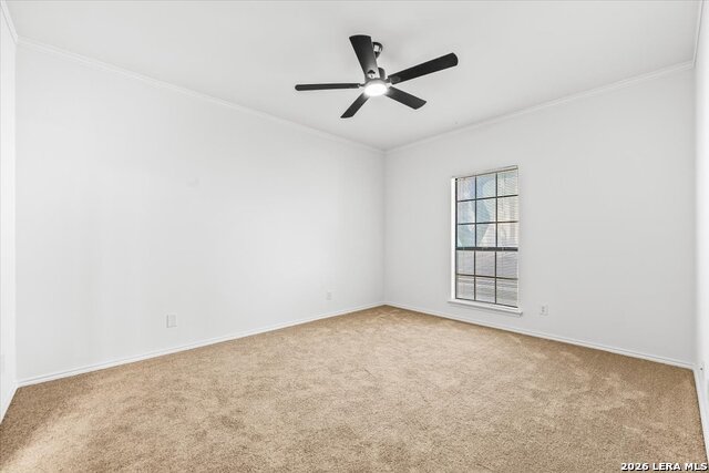 11839 Parliament St Property Photo 13