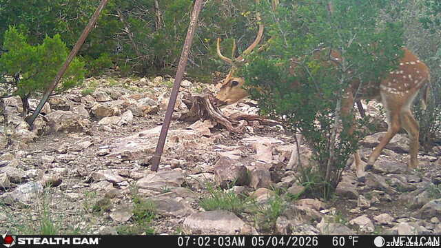 Tbd Sd 58500 Property Photo 1