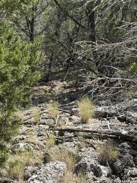 Tbd 674 Property Photo 34
