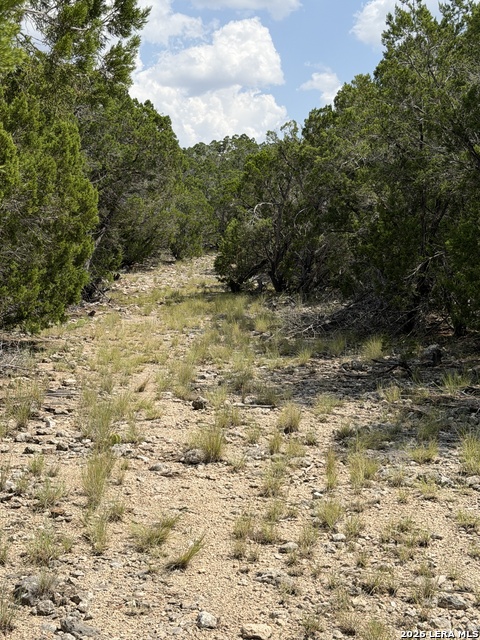 Tbd 674 Property Photo 36