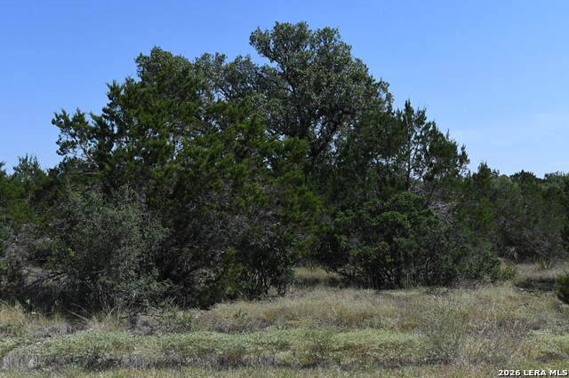291 Serenity Pass Property Photo 4