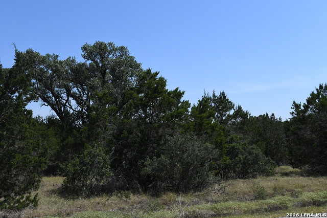 291 Serenity Pass Property Photo 5