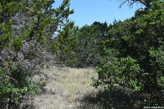 291 Serenity Pass Property Photo 6