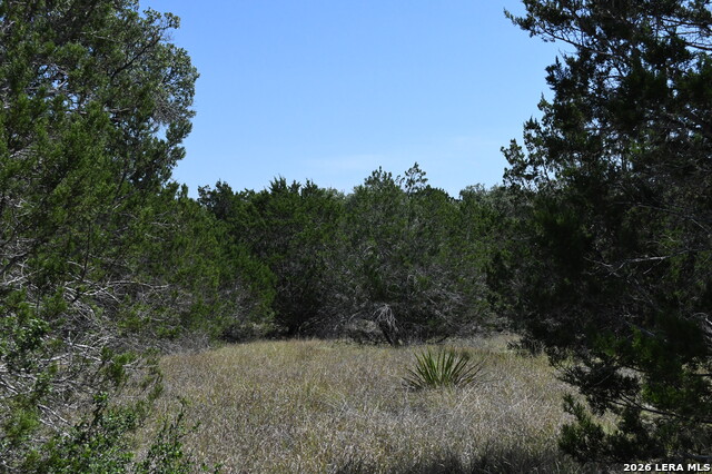 291 Serenity Pass Property Photo 7