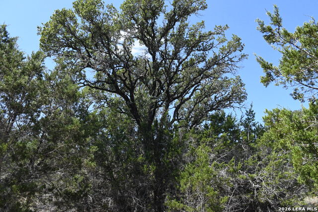 291 Serenity Pass Property Photo 8