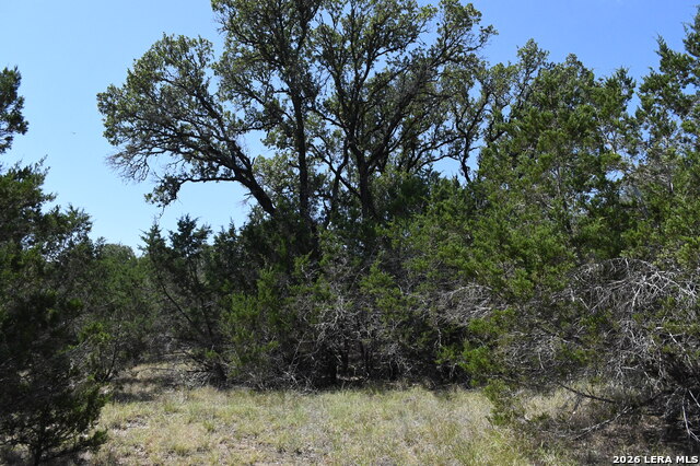 291 Serenity Pass Property Photo 10