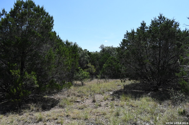 291 Serenity Pass Property Photo 11